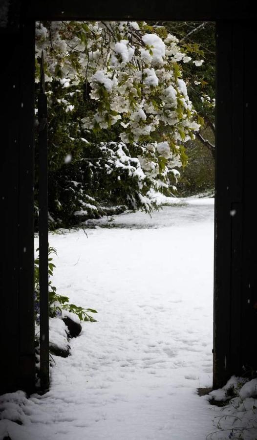 Arden Country House Bnb - Entire House To Yourself -Peace In The Country Dunedin Zewnętrze zdjęcie
