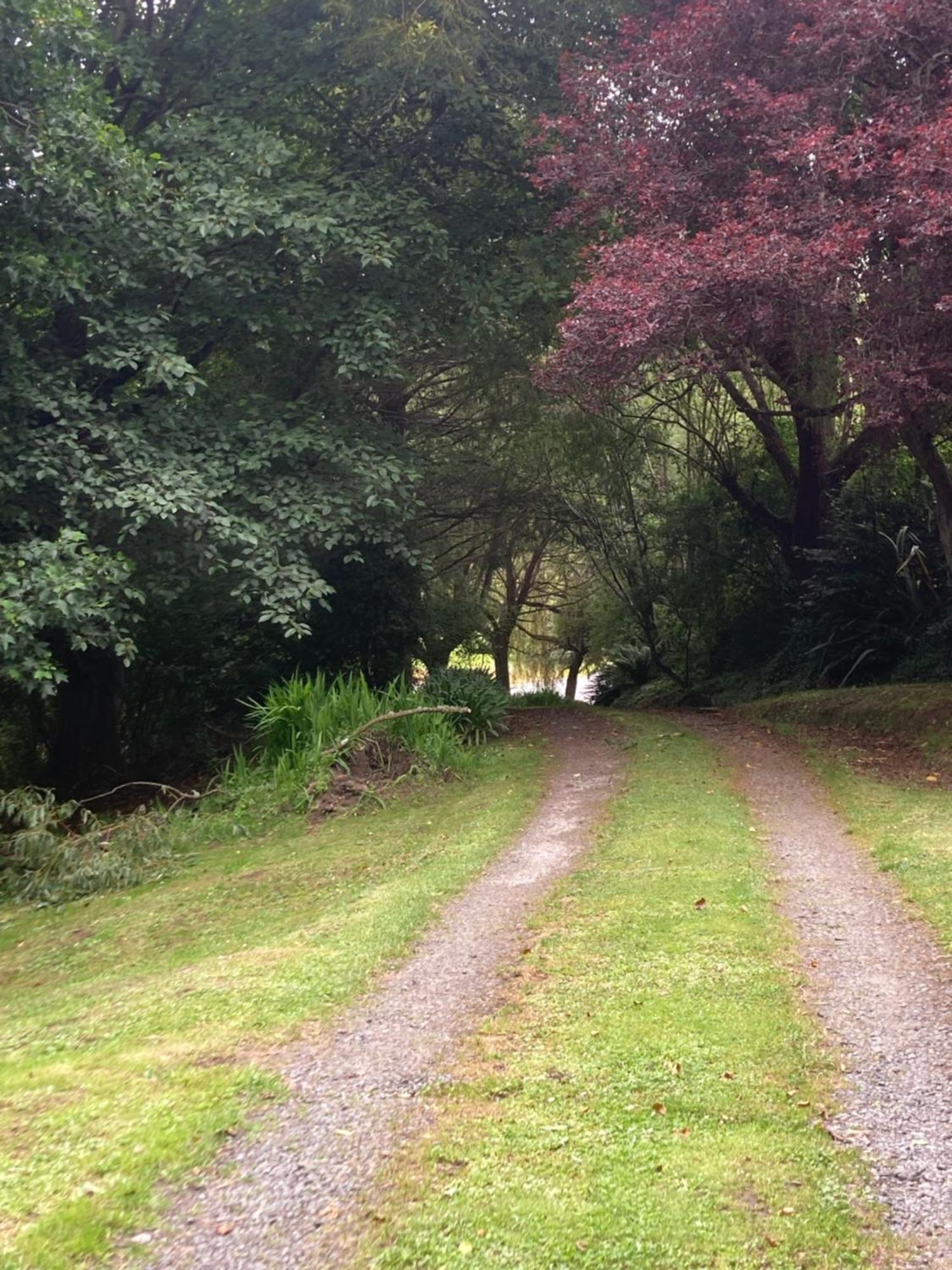 Arden Country House Bnb - Entire House To Yourself -Peace In The Country Dunedin Zewnętrze zdjęcie